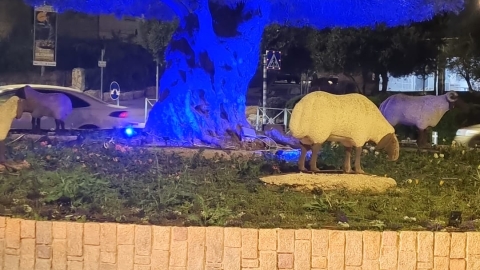 גבעת זאב בוחרת לגלוש בטוח (3).jpeg